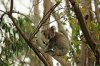 Australien 2008 223_bearbeitet-1.jpg