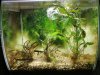 Fluval 57-2,5.jpg