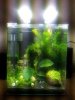 20120302_095408.jpg