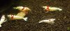DSC03269_2.jpg