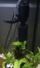 IMG_20111129_203547.jpg