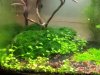20120410_210704.jpg