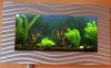 wandaquarium-31-05-2012.jpg