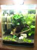 Aquarium2.jpg