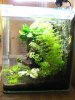Aquarium1.jpg