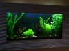 wandaquarium-23-06-2012.jpg