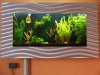 wandaquarium-07-08-2012.jpg