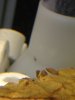 k-IMG_1140.JPG