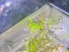 DSCN3811.JPG