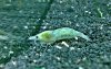 WP_20130307_014.jpg