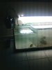 IMG004.JPG