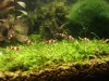 06.09.07_6.jpg
