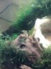 IMG011.JPG