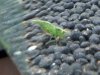20130711_222200.jpg