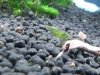 20130711_222249.jpg
