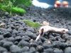 20130711_222257.jpg
