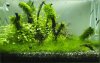 Aquarium.jpg