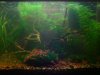 Umbau CR_(800_x_600).jpg