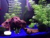 Aquarium 2 klein.jpg