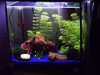 Aquarium 6 klein.jpg
