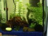 Aquarium 4 klein.jpg