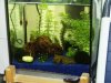 Aquarium 5 klein.jpg