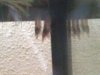 DSC00011.JPG