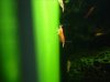 ©©DSC06694-1.jpg