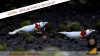 JustBee-PRL-Shrimps-akaebinosato-mos2.png
