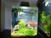 Aquarium_003.jpg