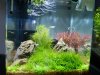 Aquarium_005.jpg