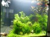 Aquarium_006.jpg