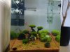 Aquarium_010.jpg
