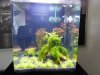 Aquarium_012.jpg