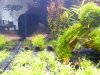 Aquarium_013.jpg