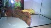 WP_20140507_11_15_38_Pro.jpg