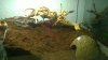 WP_20140507_21_30_38_Pro.jpg