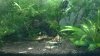 WP_20140510_004.jpg