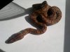 2012-09-09-165.jpg
