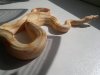 2012-09-09-161.jpg