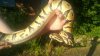 WP_20130718_009.jpg