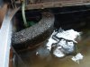 AquaArt001.jpg