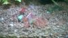 WP_20140712_18_17_43_Pro.jpg