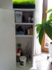 2014-08-08-11.35.41.jpg
