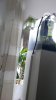 2014-08-08-11.59.21.jpg