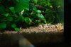 DSC_1045.jpg