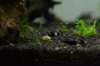 DSC_1069.jpg