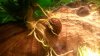 20140903_203339 (Copy).jpg