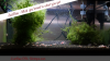 JustBee-PRL-Shrimps-becken4.png