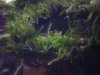 DSC04038.JPG